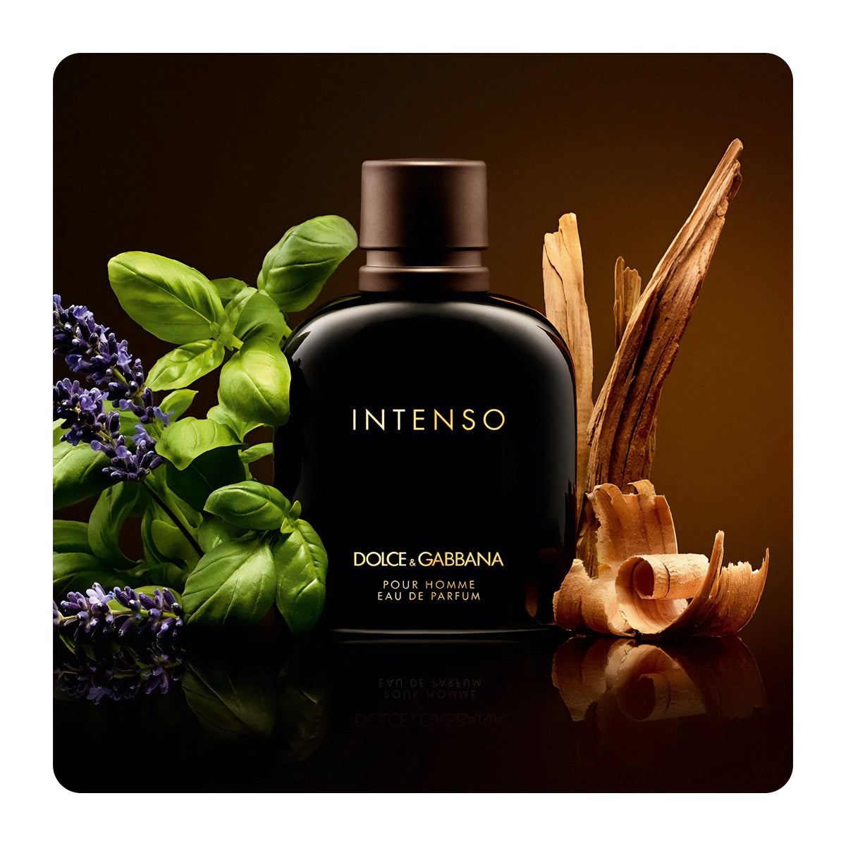 DOLCE & GABBANA | INTENSO MEN