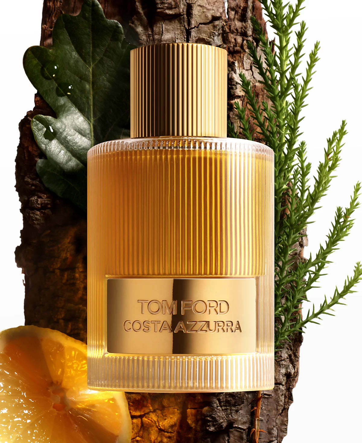 TOM FORD | COSTA AZZURRA