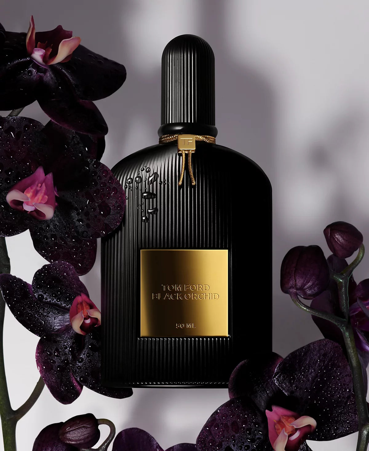 TOM FORD | BLACK ORCHID