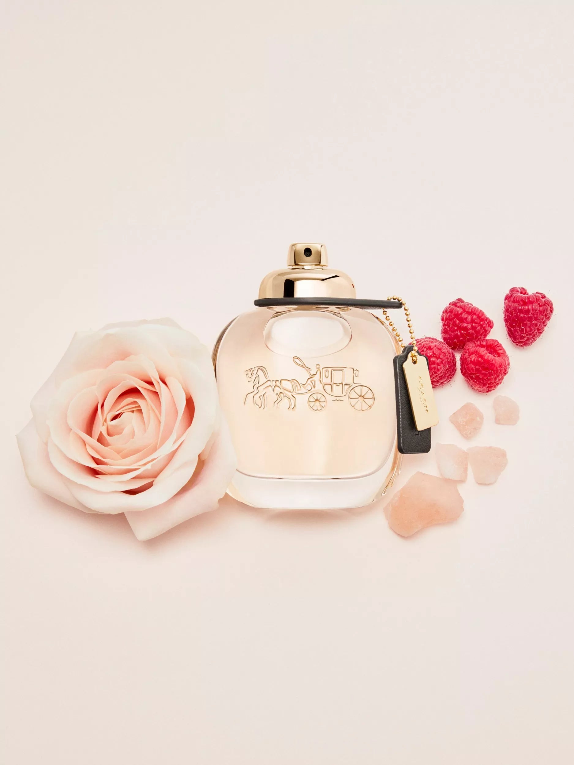 COACH | Eau De Parfum